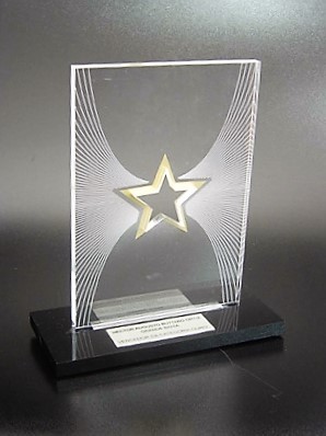 Fabrica de Troféus de Acrílico Orçamento de em Perdizes - Troféu Lapidado em Acrílico