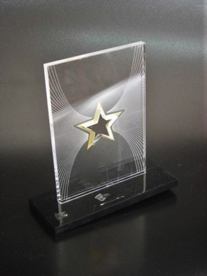 Troféus para Prêmios em Acrílico em Perus - Troféu Transparente de Acrílico para Festas